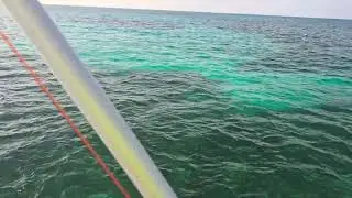 Late afternoon at Carysfort Reef