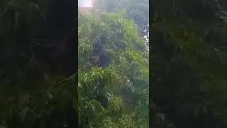 #rain #thunderstorm #patna heavy rain in patna ⛈️⛈️
