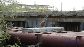 002 Клуб 61 62 Мосты на Рязанке