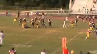 Hampton Hornets vs Luella Lions