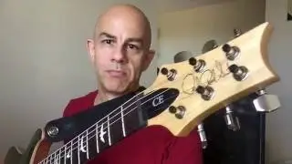 PRS CE24 Review by Edgar Cancel