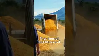 Scientists dumped 12,000 tons of orange peels in a forest & what happened next changed everything!