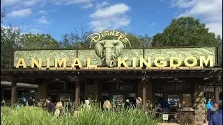🔴Animal Kingdom HUMPDAY (LIVESTREAM) Ep 762