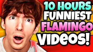 🌟10 HOURS🌟 Of Flamingo Roblox - Funniest Videos (Flamingo Marathon)