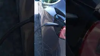 Manually release your Tesla Charge Port | Tesla Tip Tuesday #shorts