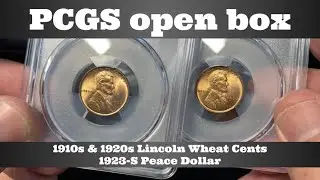 PCGS Open Box Coin Grade Reveal - 1910s & 1920s Lincoln Wheat Cents, 1923-S Peace Dollar