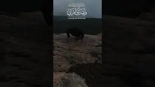 #mindset#discipline#shorts  #quran#alhamdulillah#nature#youtubeshorts