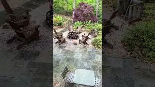 Fox on the patio in the rain