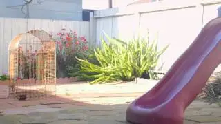 TurboAce AllSteady 6 Test shot 2