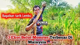 MANCING BELUT MONSTER MALAYSIA TERBESAR  DI TAHUN 2022 🇲🇾