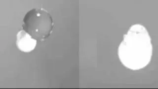 How mosquitoes fly in the rain