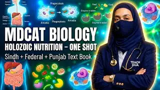 MDCAT Biology 2026 | One Shot Nutrition (Plants & Humans) | Full Concept + MCQs | Teach Dua