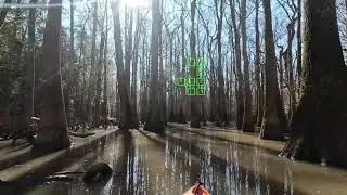 Congaree National Park 2.7.26 with Carolina Outdoor Adventures 