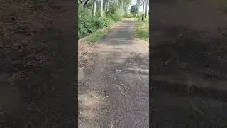 SSC GD 2024 5KM RUNNING TRACK CRPF CAMP BANTALAB START POINT TO END #shortvideo #shorts #crpf #ssc