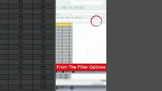 Unleash Excel's SLICER Feature - Data Analysis Made Easy