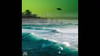 Digital Crates - Party Time
