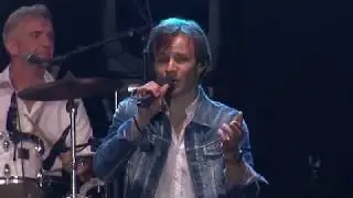 The Foxes Live - Du bist eine Sensation