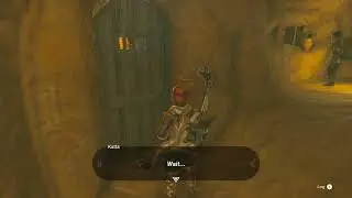don't wear yiga armor when in gerudo - TOTK Steam Deck Emudeck