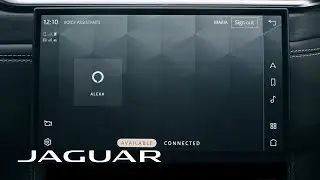 How to | Set up Amazon Alexa in your Jaguar