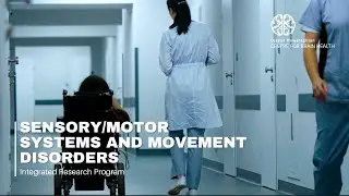 Sensory/Motor Systems and Movement Disorders Integrated Research Program
