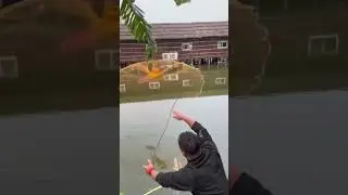 #fishing #catchfish
