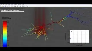Simulation of Complex Optical Neural Stimulation (MATLAB-NEURON)