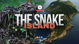 The Untold Mystery of Snake Island | Official Trailer
