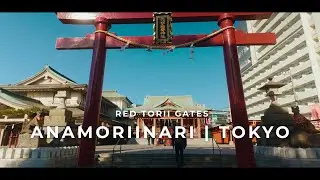 Tokyo Shrine Walk - ANAMORI INARI | 朱色の千本鳥居と、空の青。