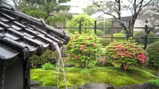 Japanese Zen Garden ⛈️ | 8H Relaxing Nature Sounds for Sleep, Study & Calm