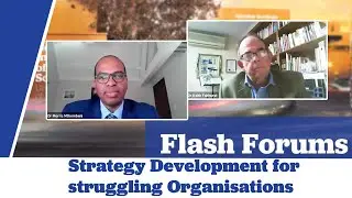 Strategy Development for Struggling Organizations- Beyond the Turnaround Horizon