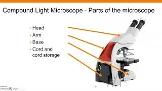Prelab 2.1 - Microscope - Intro to the microscope