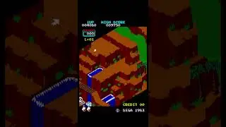 Congo Bongo - Sega 1983