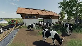 Farming Simulator 19 | Clover Creek EP 27 | Timelapse | FS19