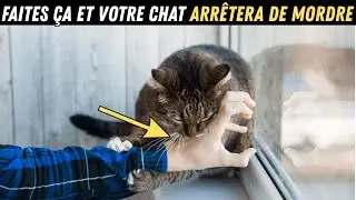 Si vous n&rsquo;arrivez pas &agrave; emp&ecirc;cher votre chat de mordre, commencez &agrave; faire &ccedil;a