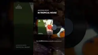 In Tropical House | UPBEAT SUMMER BACKGROUND MUSIC #music #backgroundmusic #musicforcontentcreators