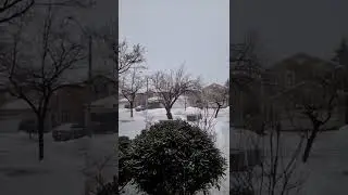 February 2022 Winter Storm