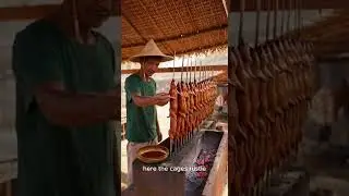 Traditional Village Food Cooked Over Fire 🔥#streetfood #streetfoodrecipes #foodshorts #foodie