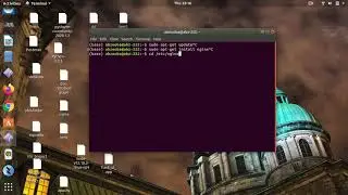 static file services from nginx