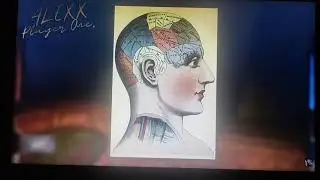 Reaccionando a la historia completa y explicada de Am&eacute;rican mcgee's Alice 