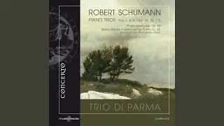 Trio No. 1 in D Minor, Op. 63: I. Mit Energie und Leidenschaft