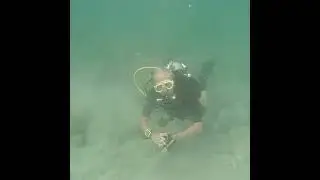 Tropical Reef After Tropical Storm