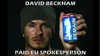 David Beckham Pitches Remain Ahead of Brexit Vote