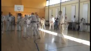 David King: 20-man kumite karate kyokushin
