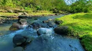 3 Hours Deep Relaxation with Green Stream Flow 🌿 Sleep Better, Meditate Deeper