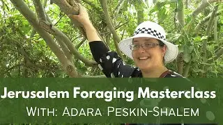 Israeli Foraging Masterclass - With Adara Peskin-Shalem (Lifta, Jerusalem)