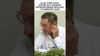 Трава древних лекарей: Послёна сладкогорький #фитотерапия  #травы  #здоровье