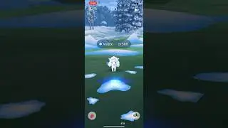 Catching a wild Alolan Vulpix (ice Vulpix) #pokemongo Pokemon go