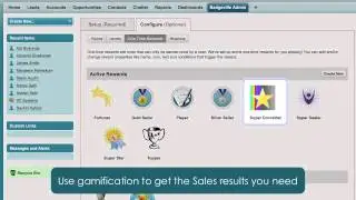 Badgeville for Salesforce