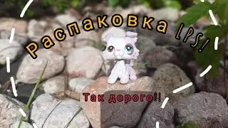 LPS: распаковка 2-х оригинальных СТОЯЧЕК! | ВНЕплановые съёмки~