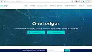 OneLedger &ndash; протокол интеграции бизнеса в блокчейн. Обзор проекта и ICO